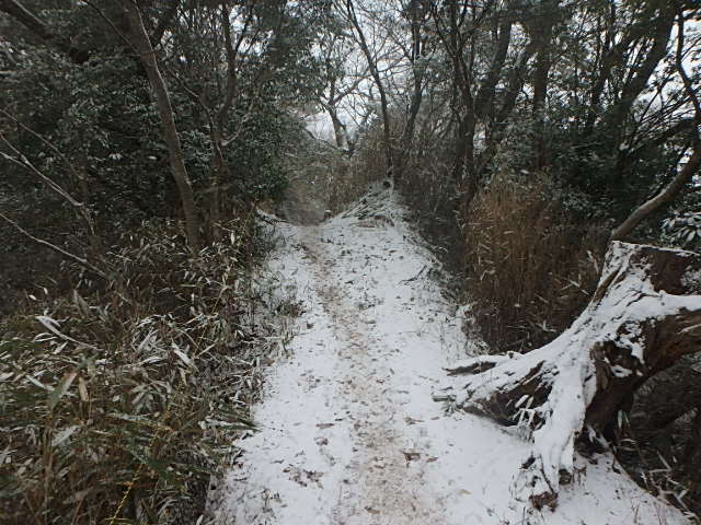f0334143_21163113.jpg