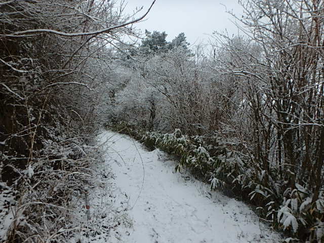 f0334143_2192699.jpg