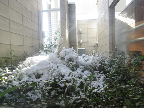 f0066646_9504994.jpg