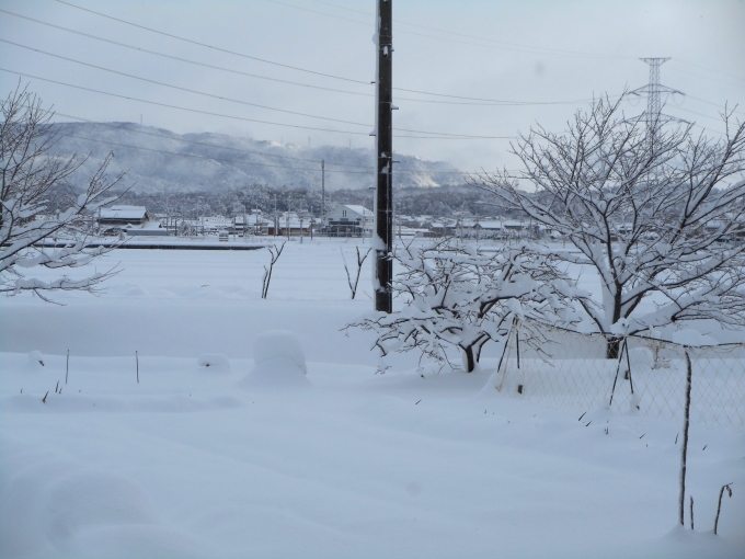 a0353447_10034728.jpg
