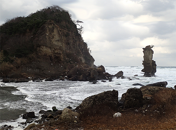 f0214649_845824.jpg