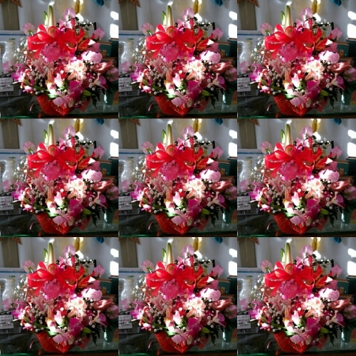 d0345853_06330779.jpg