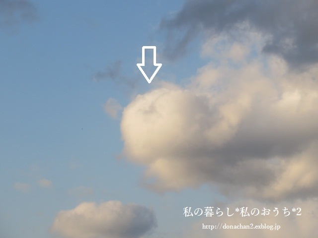 e0354456_07065892.jpg