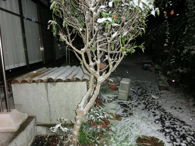 c0328559_16334488.jpg