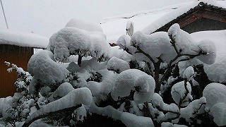 a0316366_14131128.jpg