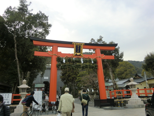 e0027681_1550767.jpg