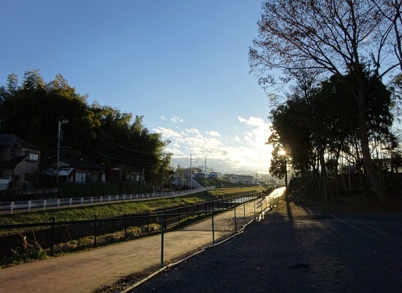 d0183387_11462865.jpg