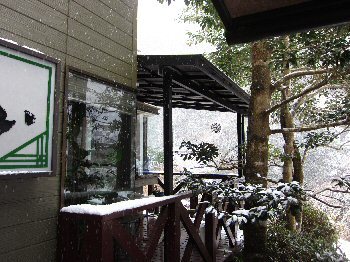 e0060987_15294529.jpg