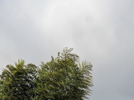 d0151694_00481852.jpg
