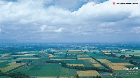 c0072801_010697.jpg