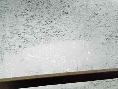 e0001110_11241821.jpg