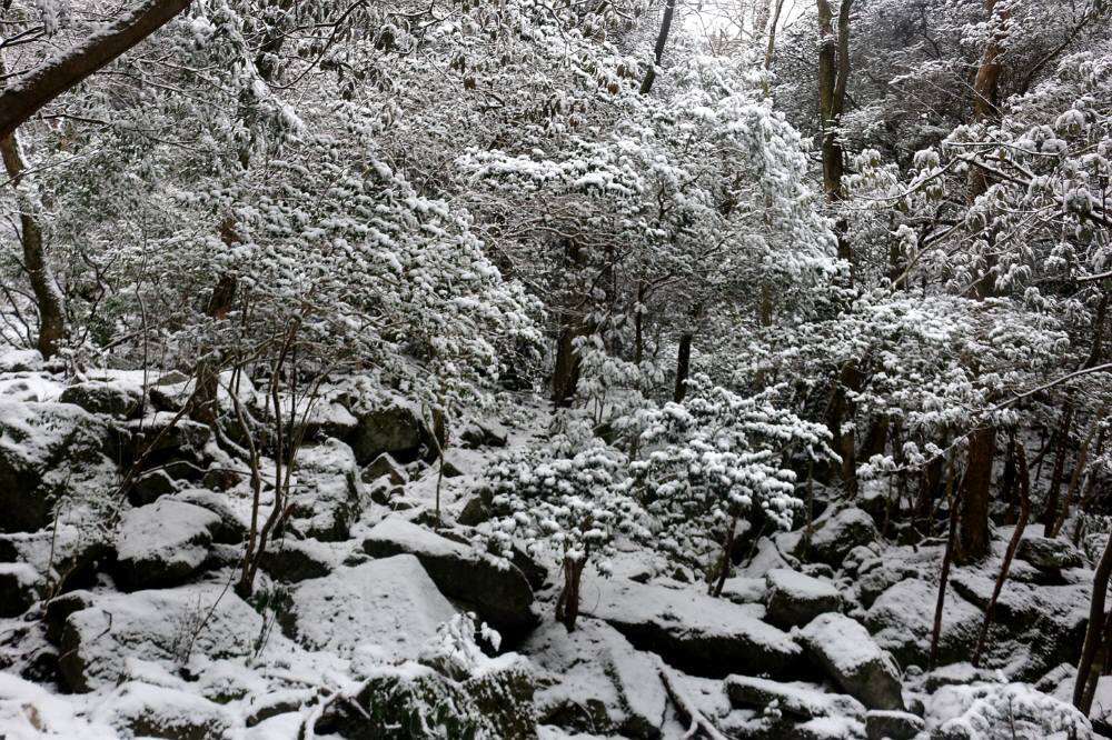 f0212511_21303934.jpg