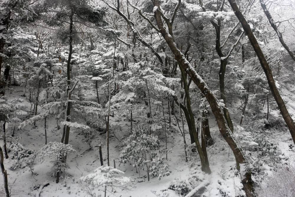 f0212511_21312749.jpg