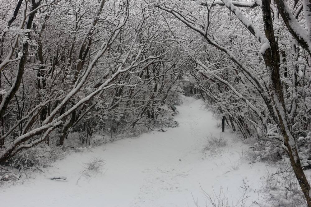 f0212511_21313518.jpg