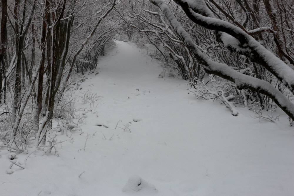 f0212511_21321131.jpg