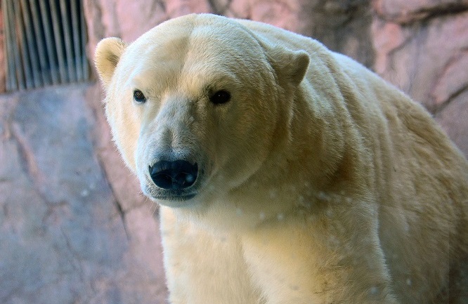 a0151913_2382669.jpg