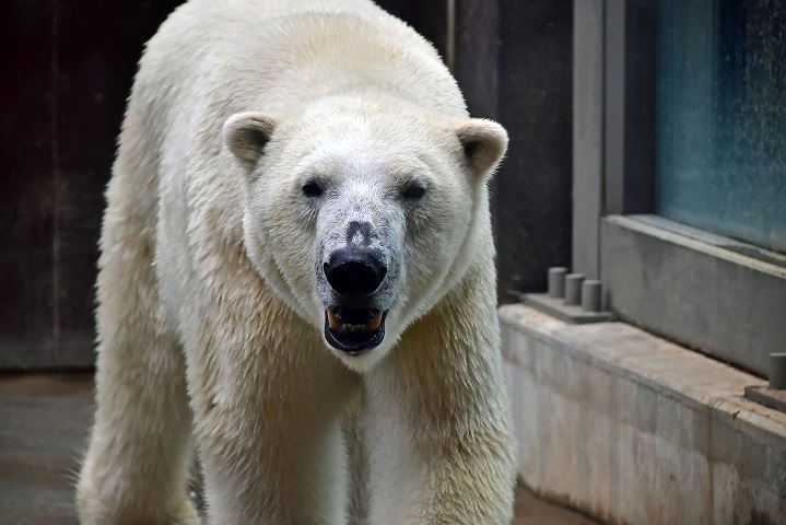 a0151913_3171275.jpg