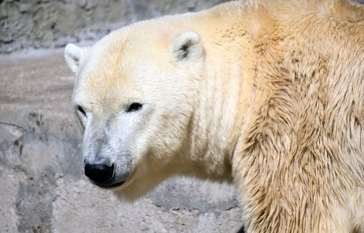 a0151913_3464455.jpg
