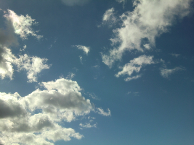 c0236632_07480566.jpg