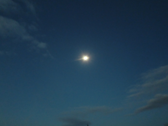 c0236632_07494644.jpg