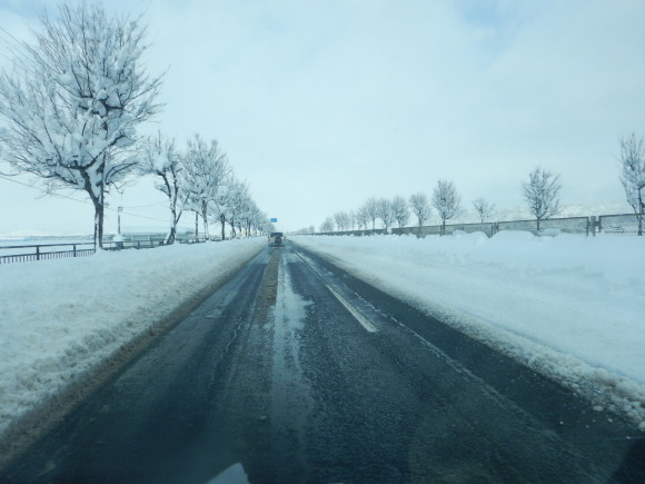 f0118332_23383338.jpg