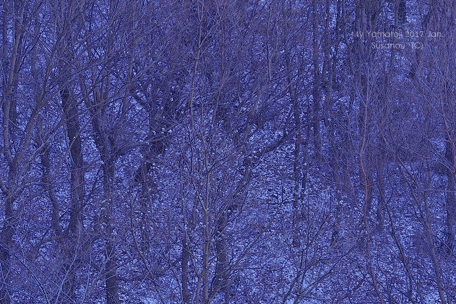 a0212036_21303922.jpg