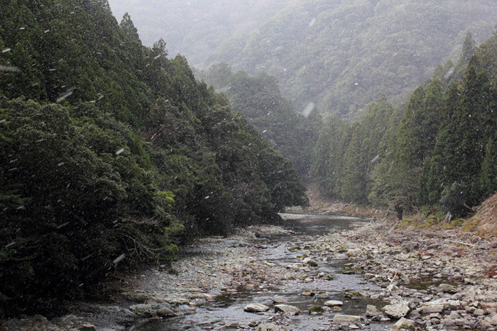 e0083238_2321162.jpg