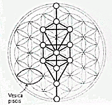 d0194741_21133995.gif