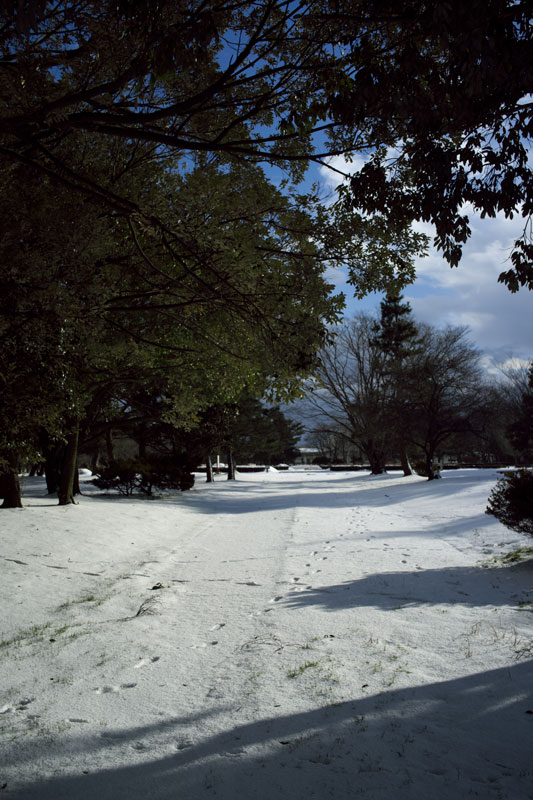 d0342652_11365686.jpg
