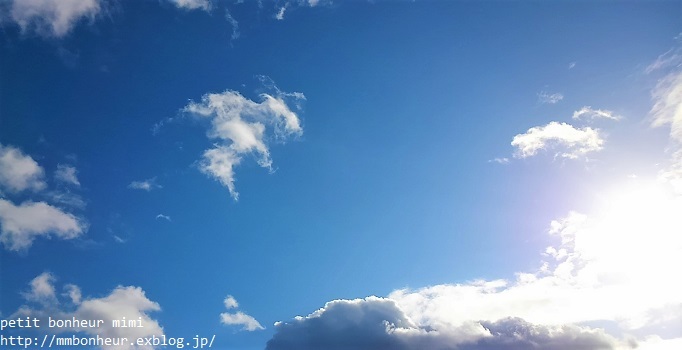 a0181553_19474800.jpg