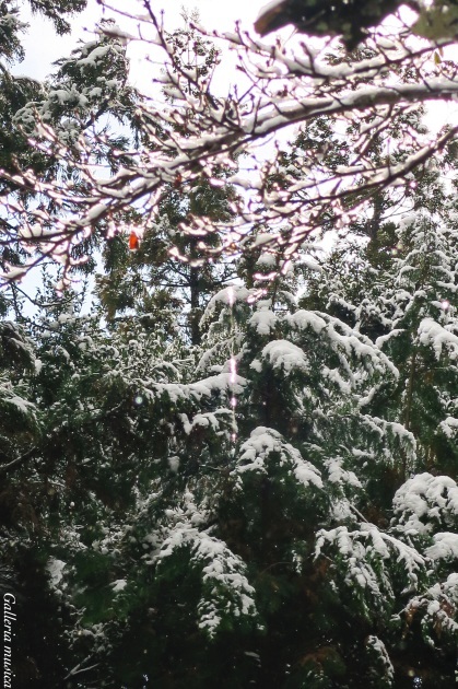 f0351853_01565950.jpg