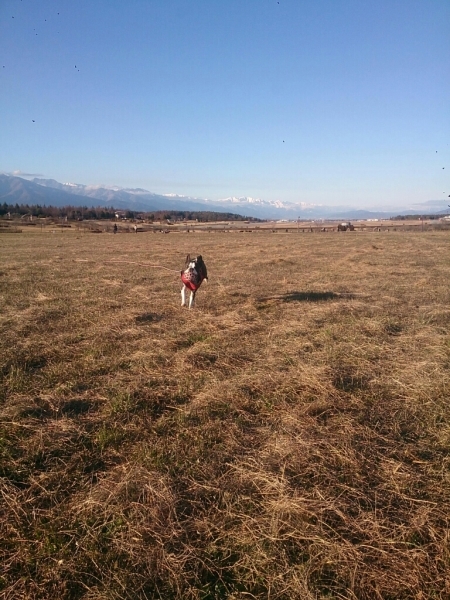 f0046262_20181699.jpg