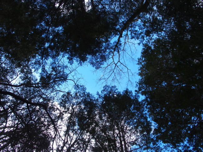 c0122670_00591133.jpg