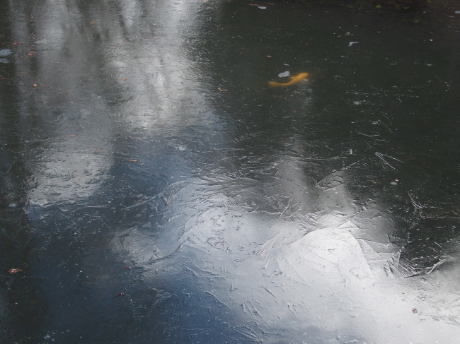 c0122670_00591173.jpg