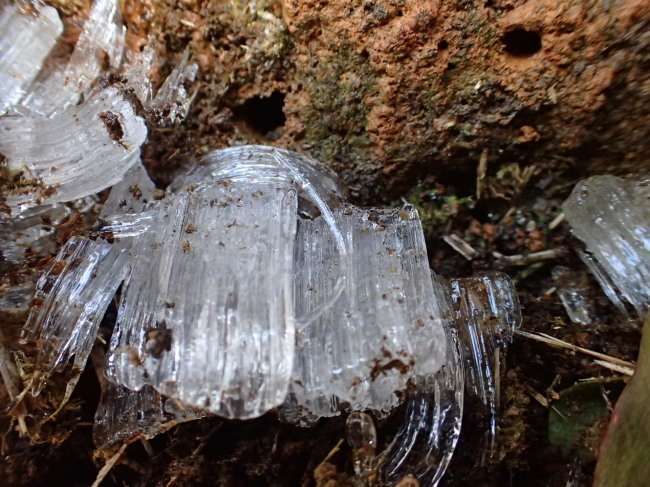 c0122670_23240183.jpg