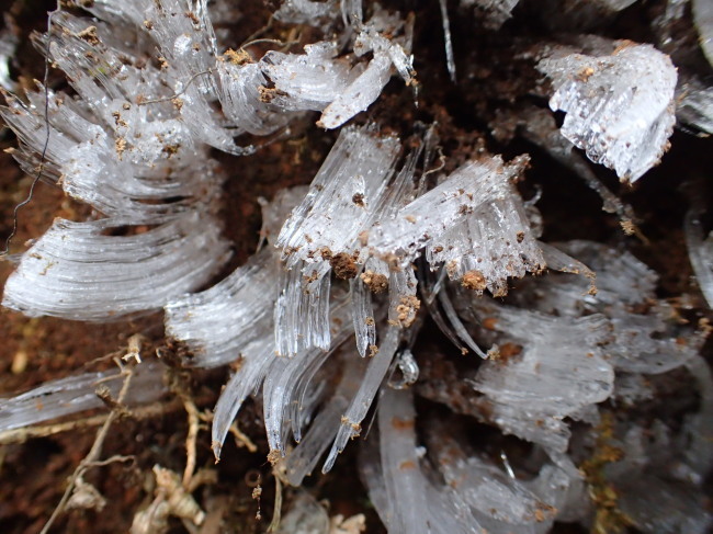 c0122670_23240195.jpg