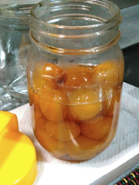 c0162773_00200239.jpg