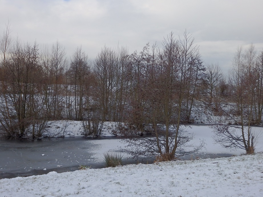a0326880_20080261.jpg
