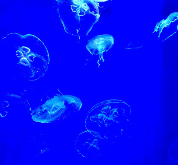 c0221281_12274757.jpg