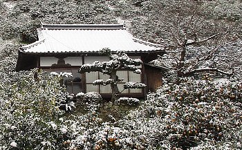 f0003283_10291755.jpg