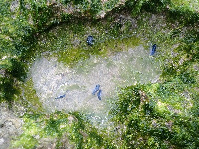f0338188_121917.jpg