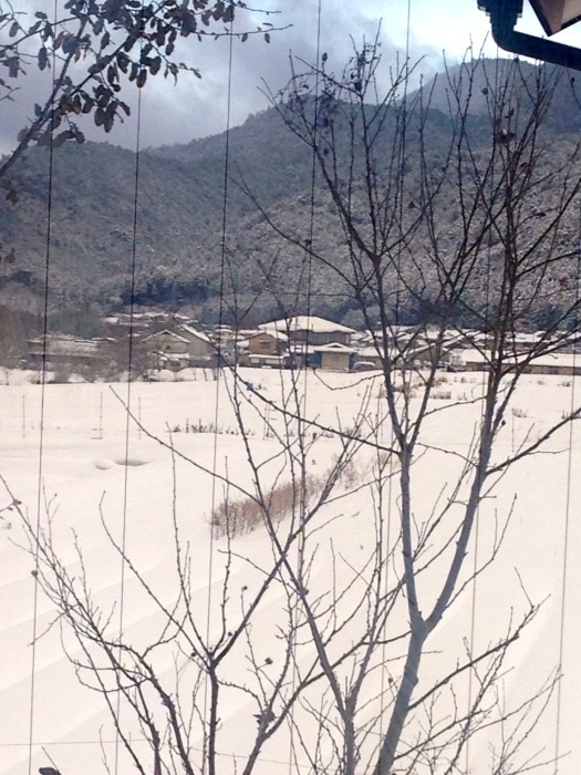 c0100195_23231158.jpg