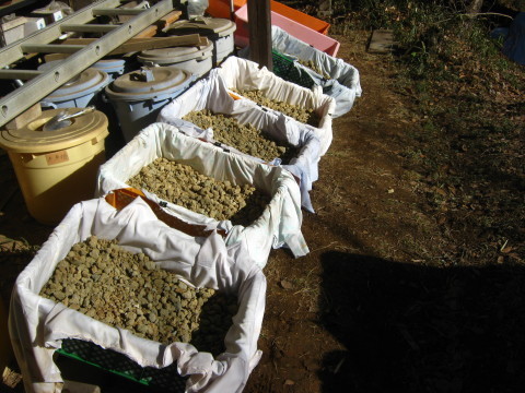 f0310900_22022084.jpg