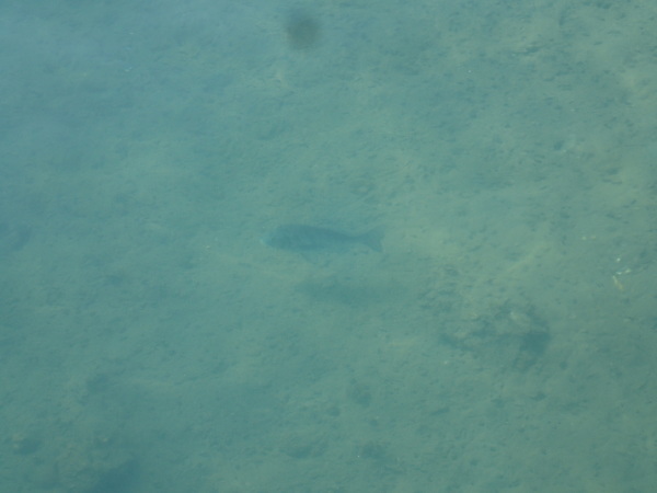 c0367107_12033153.jpg