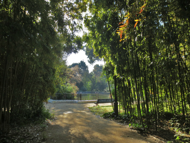 b0064411_07134258.jpg