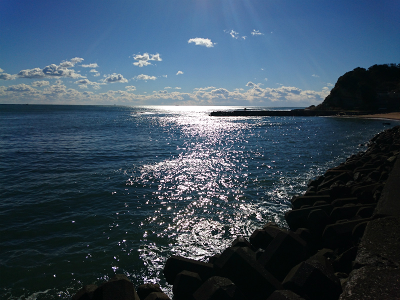 f0100911_236285.jpg