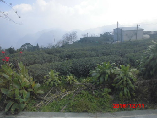 a0019212_22431655.jpg