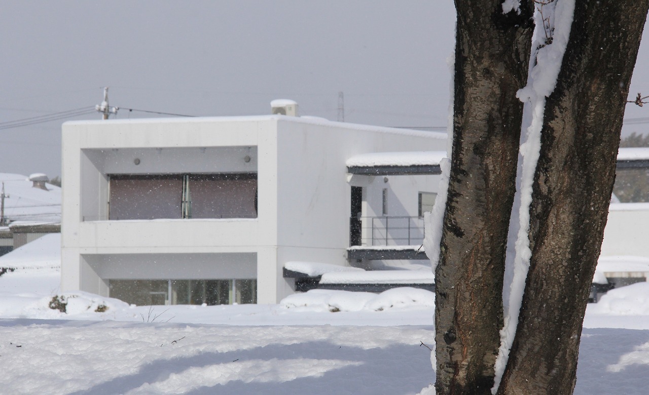 a0198715_11545380.jpg