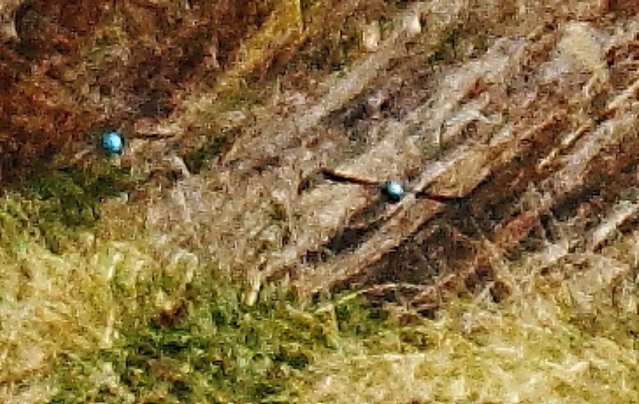 e0157717_18533759.jpg
