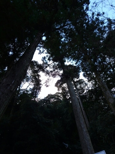 b0204719_21475564.jpg